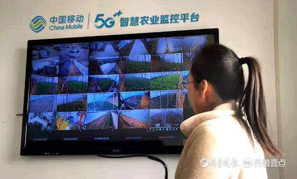 “5G+智慧农业”初见成效，淄博移动发挥技术优势助力乡村振兴