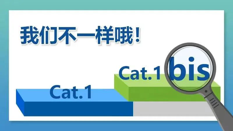 Cat.1上演开年大戏！联通150万片模组招标结果出炉